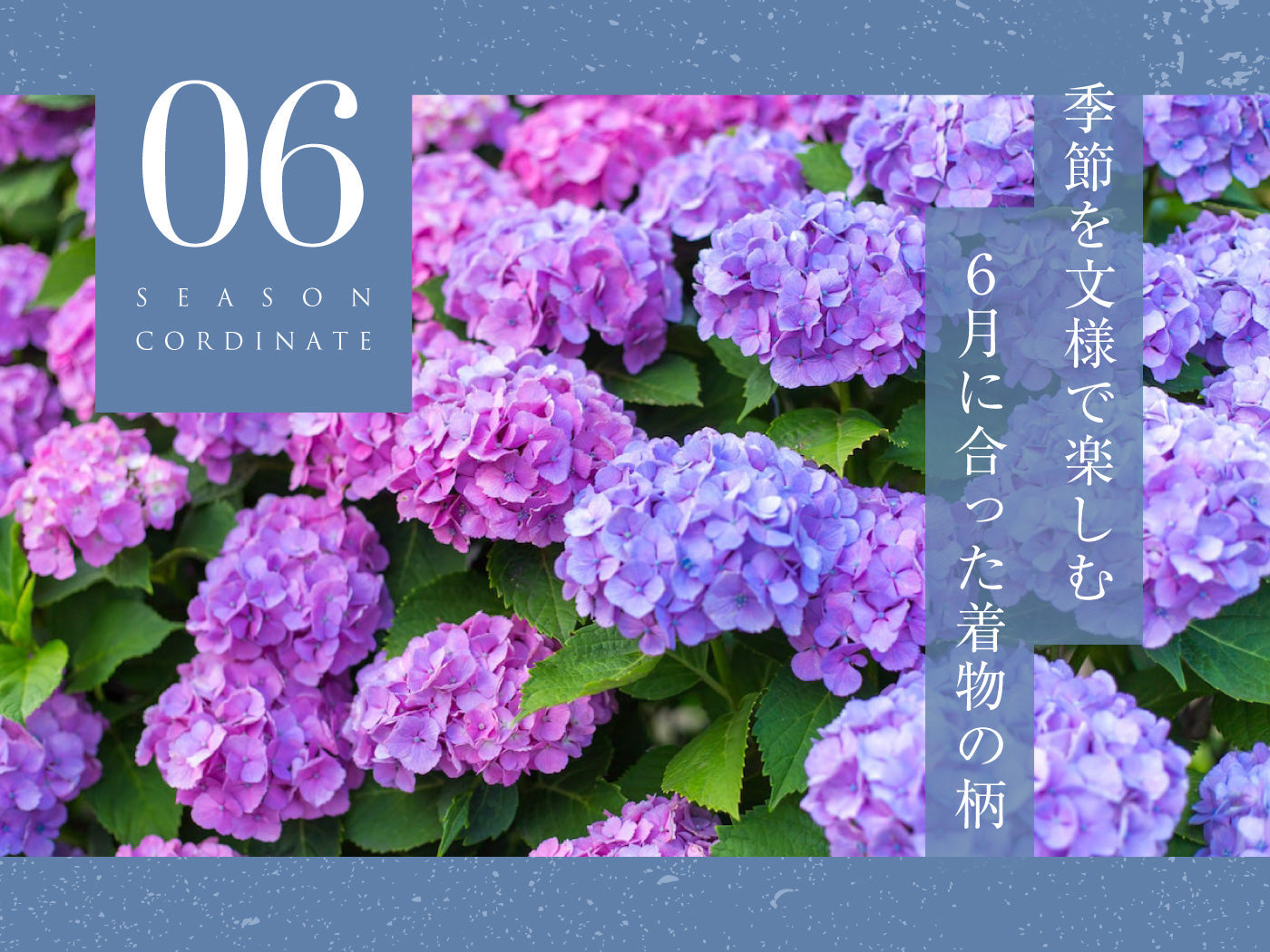 6月に合う着物・帯の柄とは? ~梅雨の季節を文様で楽しむ~