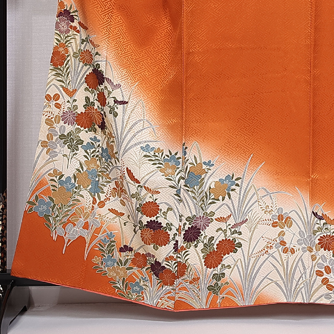 訪問着 身丈159cm 裄丈66cm 正絹 Aランク 袷 広衿 菊 菖蒲 紋意匠 紗綾形 1212-10405