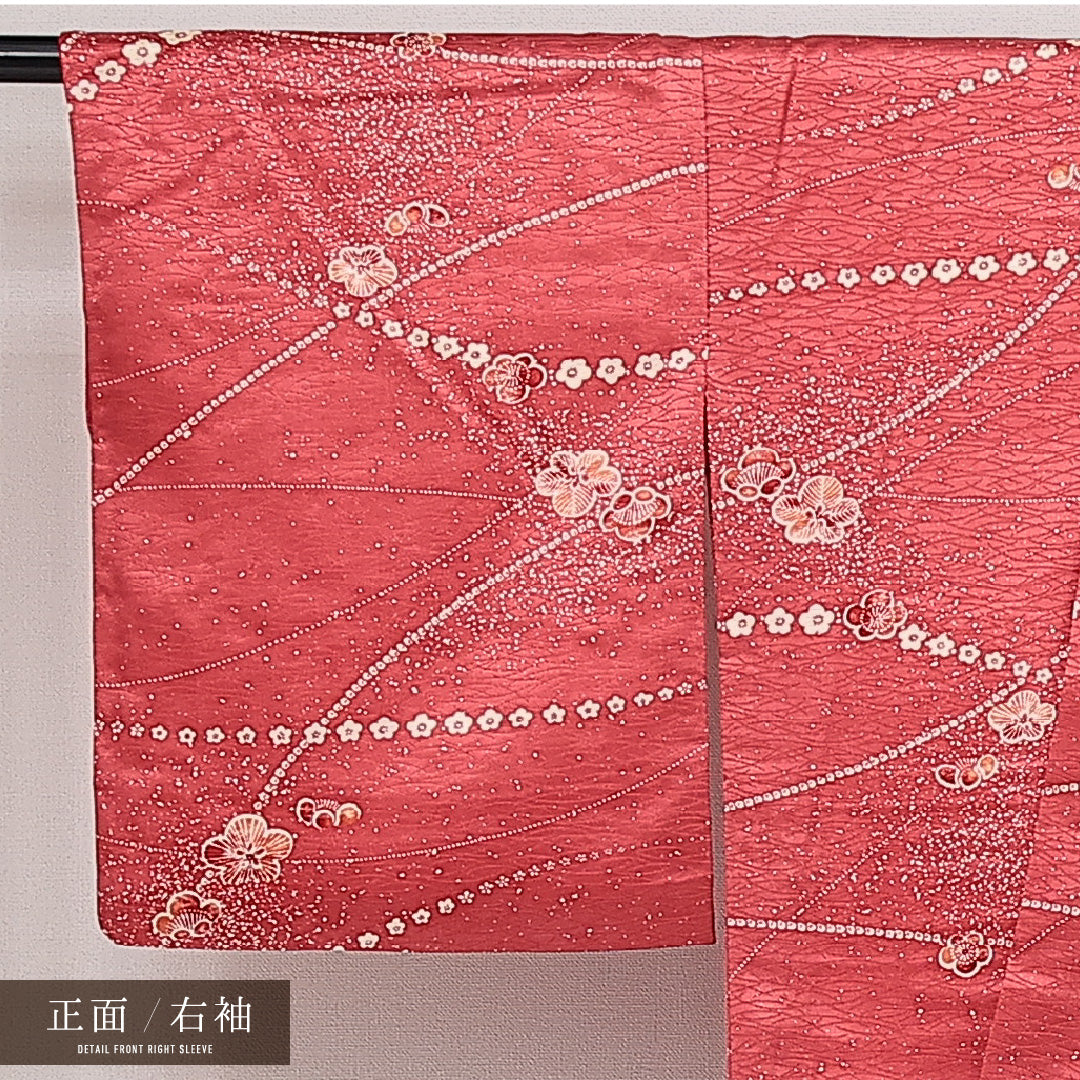 小紋 袷 身丈159cm 裄丈63cm 正絹 Sランク 紋意匠 (芝草) インフォーマル 広衿 Mサイズ 梅 赤系 RP 1221-14349