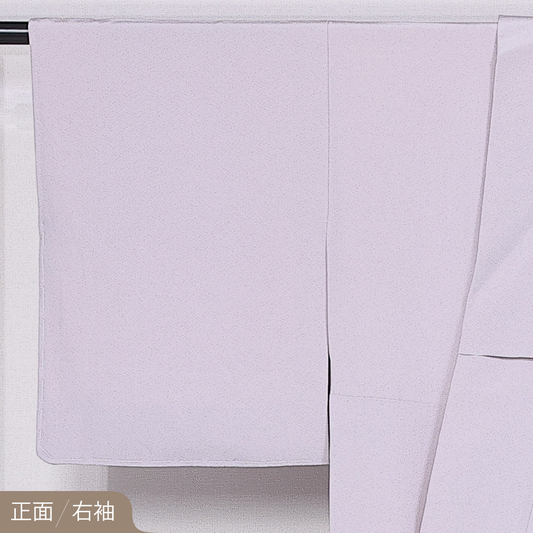 加賀友禅 色留袖 身丈158cm 裄丈64.5cm 袷 一つ紋 剣片喰 正絹 Sランク 広衿 宮本則子 風景 作家物 1211-F0414