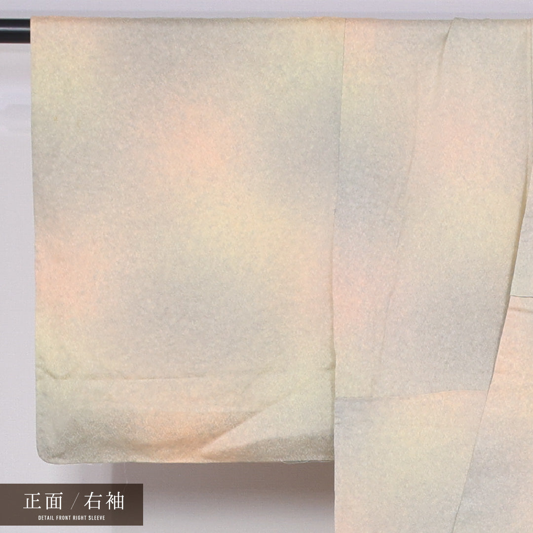 小紋 身丈152cm 裄丈62cm S 正絹 Bランク 袷 広衿 ぼかし 1215-11441