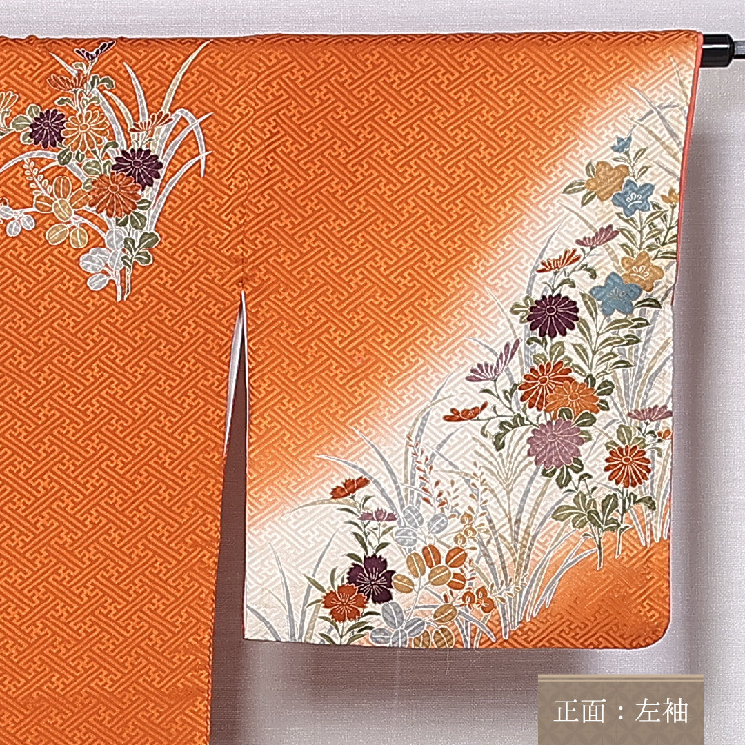 訪問着 身丈159cm 裄丈66cm 正絹 Aランク 袷 広衿 菊 菖蒲 紋意匠 紗綾形 1212-10405