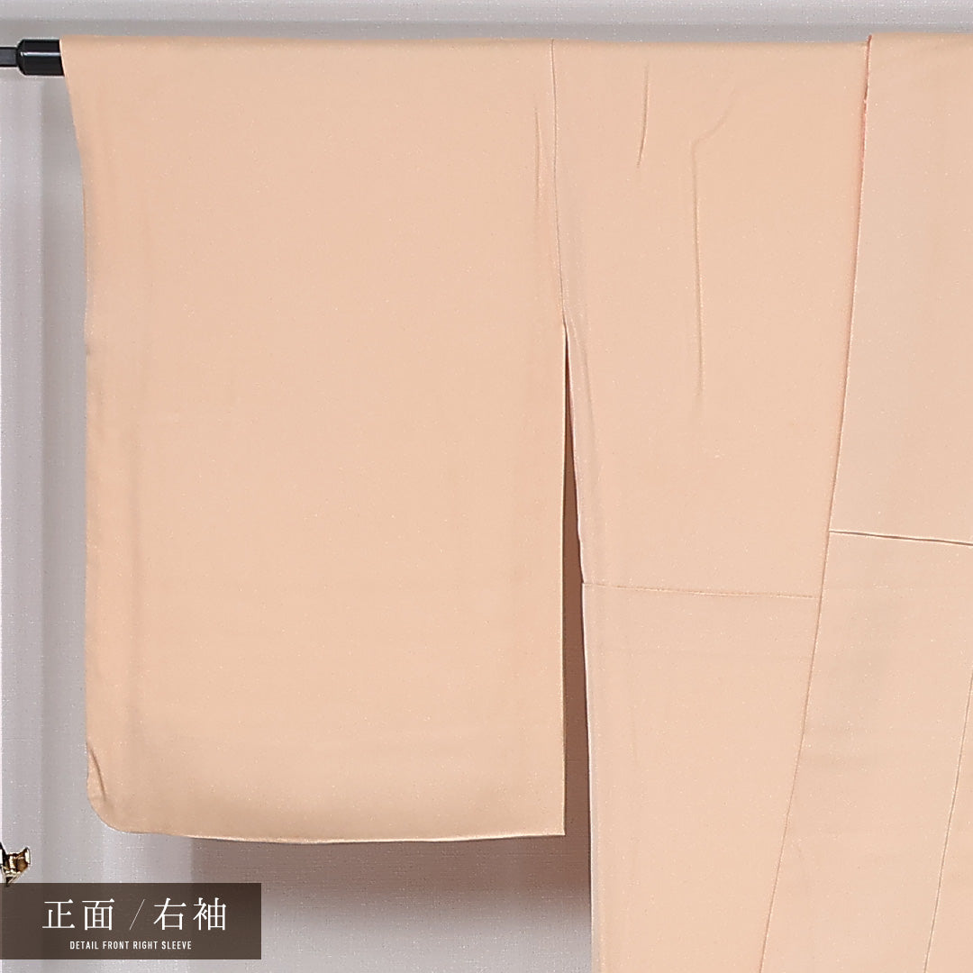 付下げ 身丈170cm 裄丈66cm Sランク 2XL 正絹 袷 広衿 短冊 菊 菖蒲 インフォーマル ベージュ系 1261-12028