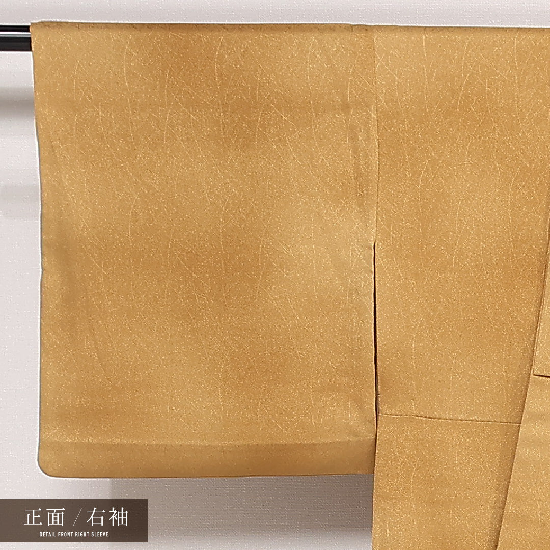 訪問着 単衣 身丈151cm 裄丈63cm 正絹 Sランク セミフォーマル 広衿 Sサイズ 金彩 団栗 金系 M4 1217-13260