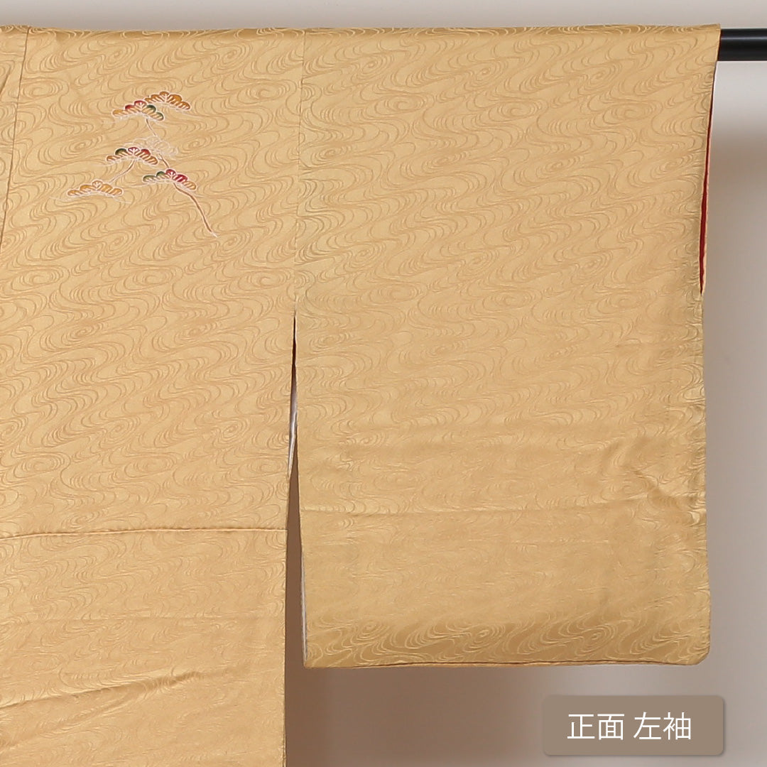 訪問着 袷 身丈148cm 裄丈62cm 正絹 Bランク 紋意匠 (観世水) セミフォーマル 広衿 XSサイズ 絞り 菊 金系 HP 1217-04306