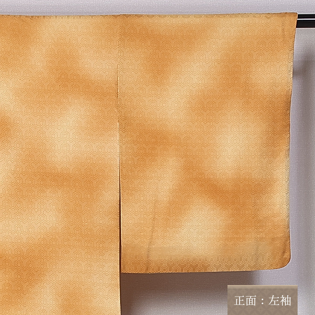 色無地 身丈154cm 裄丈64.5cm S 正絹 Aランク 袷 広衿 毘沙門亀甲 ぼかし 地紋あり 1214-10730