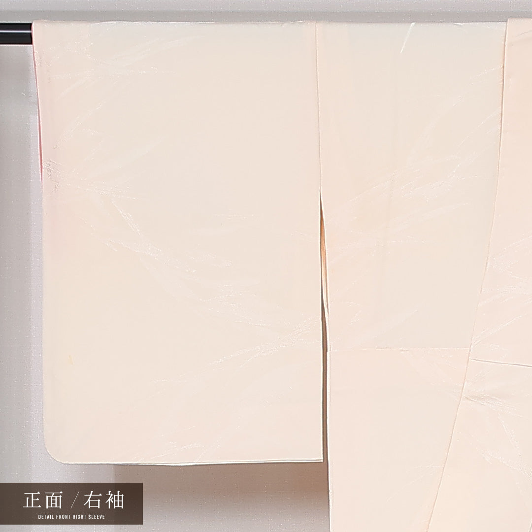 付下げ 身丈160cm 裄丈64.5cm Cランク L 正絹 袷 広衿 金駒刺繍 蝶 インフォーマル クリーム系 1261-12027
