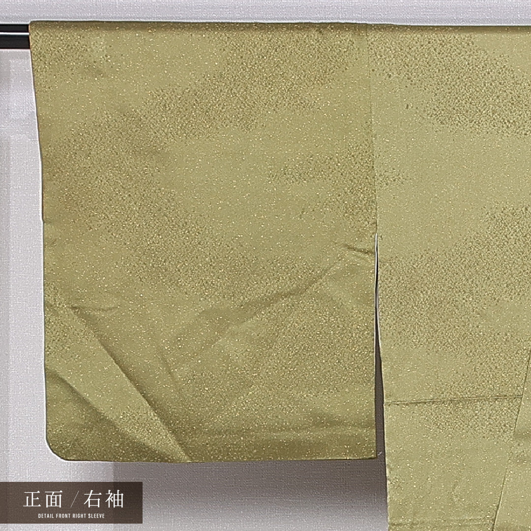訪問着 身丈145cm 裄丈65.5cm XS 正絹 Aランク 袷 広衿 菊 紅葉 1212-11013