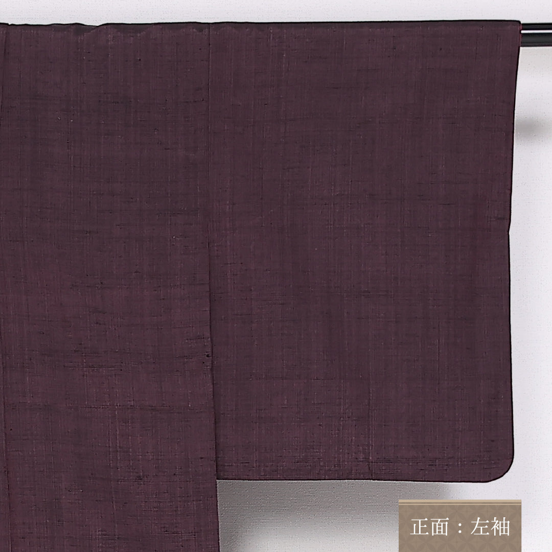 結城紬 身丈158cm 裄丈62.5cm Sランク 袷 正絹 広衿 付下げ 松 寺院 1216-10085