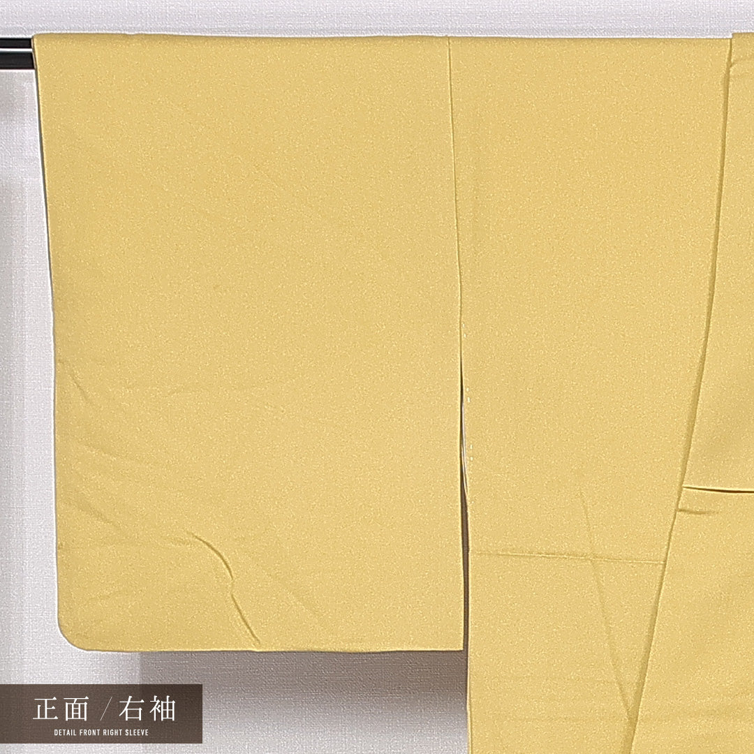 訪問着 袷 身丈158cm 裄丈63cm 正絹 Aランク セミフォーマル 広衿 Mサイズ ぼかし染 引箔 流水 牡丹 黄系 RP 1217-11180