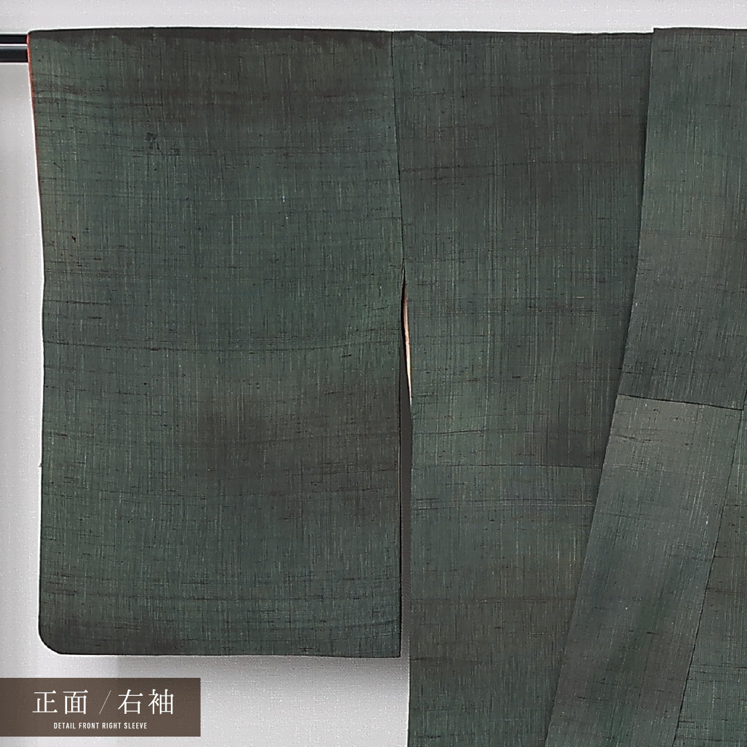 訪問着 袷 身丈160cm 裄丈64cm 正絹 Aランク 一つ紋 (花菱) セミフォーマル 広衿 Lサイズ ぼかし染 花柄 植物柄 緑系 RP 1217-12502