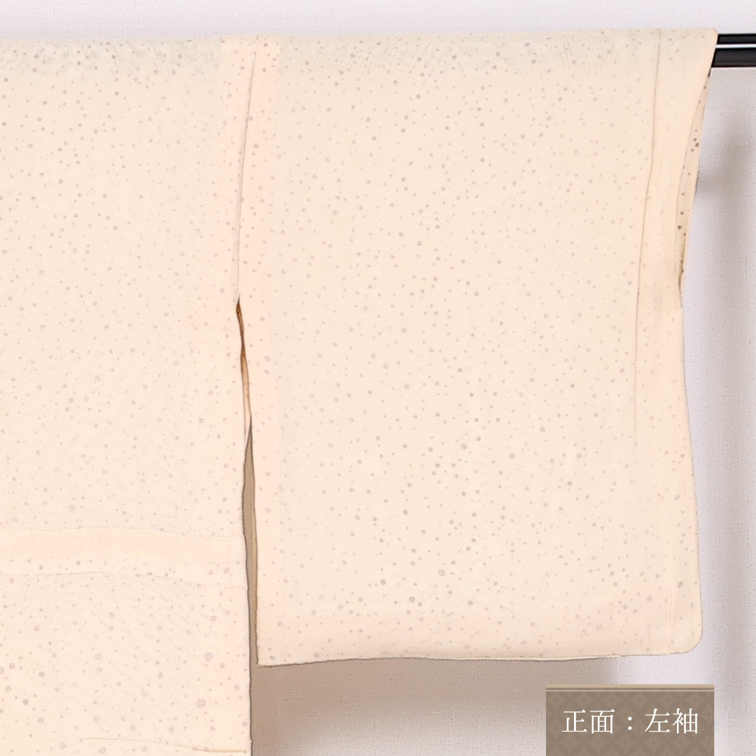 付下げ 夏着物 身丈156cm 裄丈63.5cm Cランク 紗袷 正絹 広衿 夏物 1261-10041