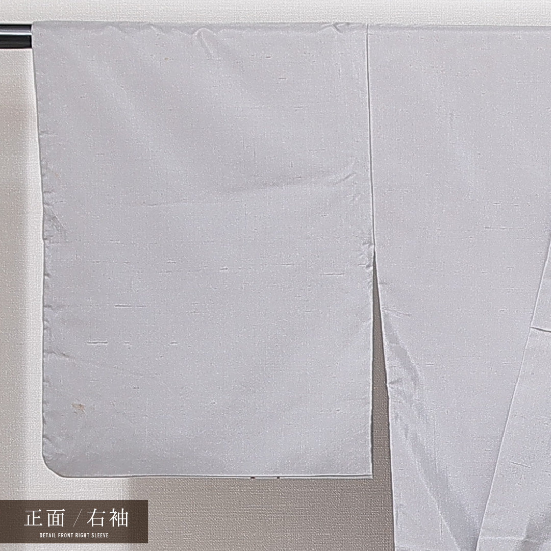 付下げ(飯田紬) 袷 身丈156cm 裄丈63cm 正絹 Cランク Mサイズ 広衿 インフォーマル 木立 金彩 作家物 落款 グレー系 1261-14986