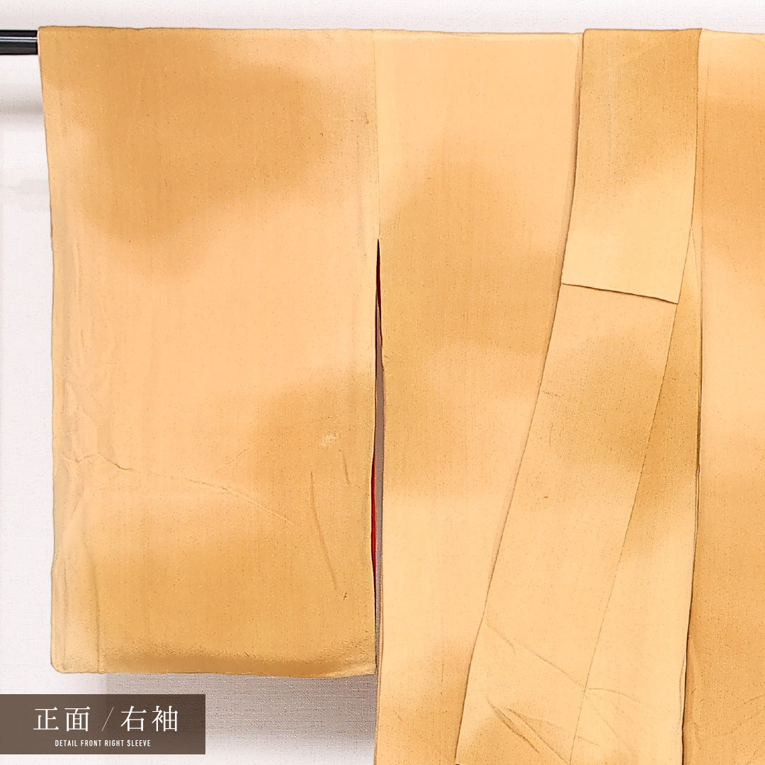 アンティーク 付下げ 袷 錦紗 身丈151cm 裄丈62cm Bランク 正絹 広衿 Sサイズ ぼかし染 梅 笹 古典的 しとやか ベージュ系 茶系 1261-13518