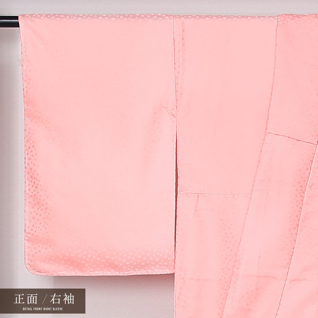 洗える着物 訪問着 袷 身丈161cm 裄丈65cm ポリエステル Sランク セミフォーマル 広衿 Lサイズ 尾長鳥 青海波 牡丹 杜若 ピンク系 RP 1217-12501