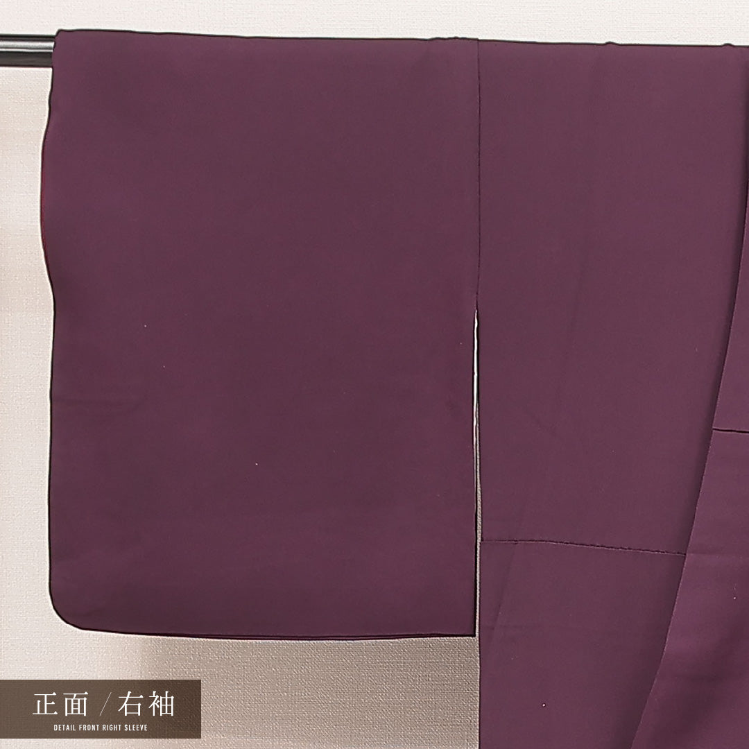 付下げ 1218-16999 右袖