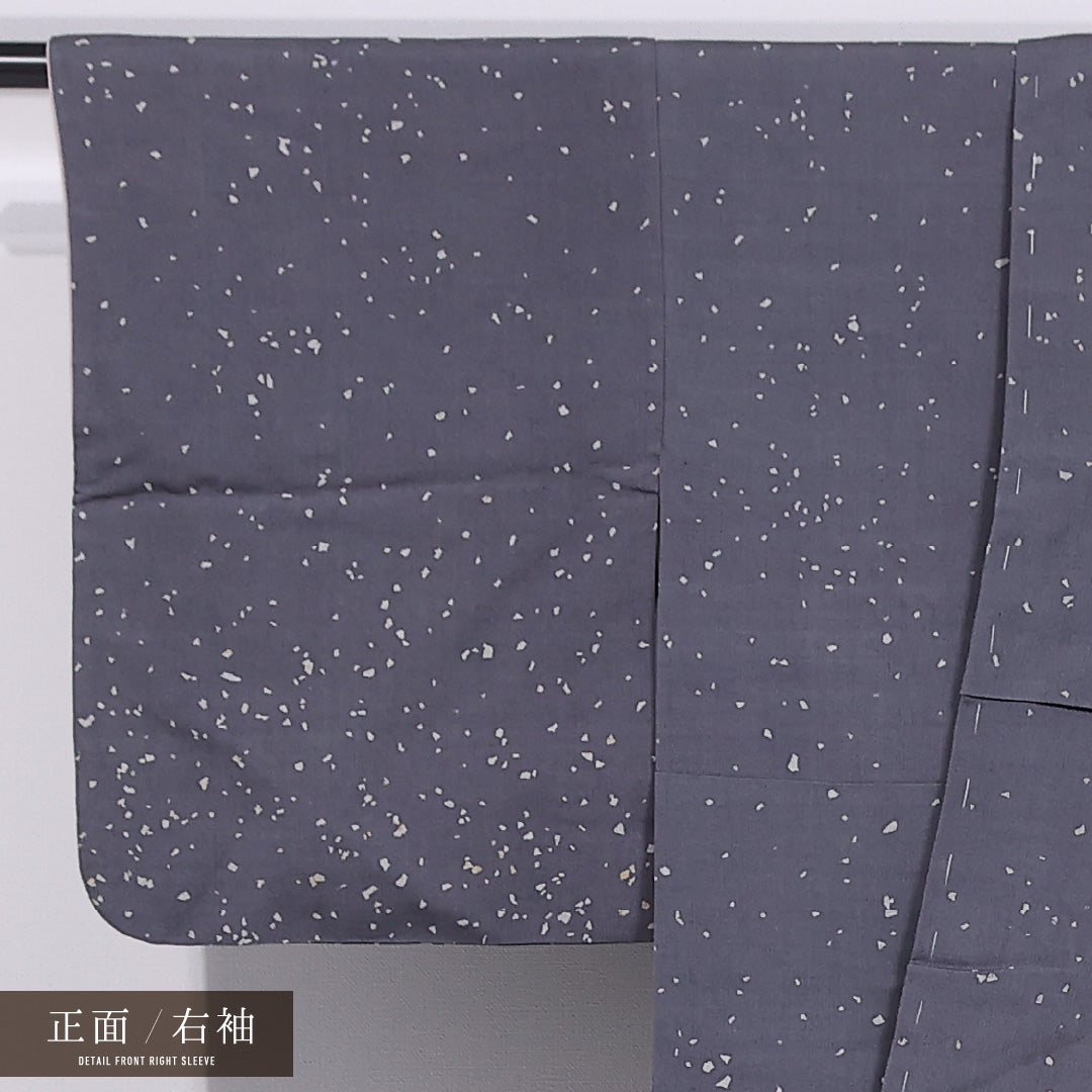 江戸小紋 (大小霰) 袷 身丈160cm 裄丈62cm 正絹 Cランク インフォーマル 広衿 Lサイズ グレー系 LP 1220-11847