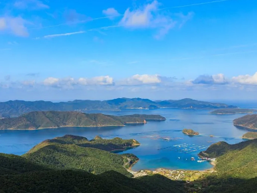 大島紬の産地|奄美大島