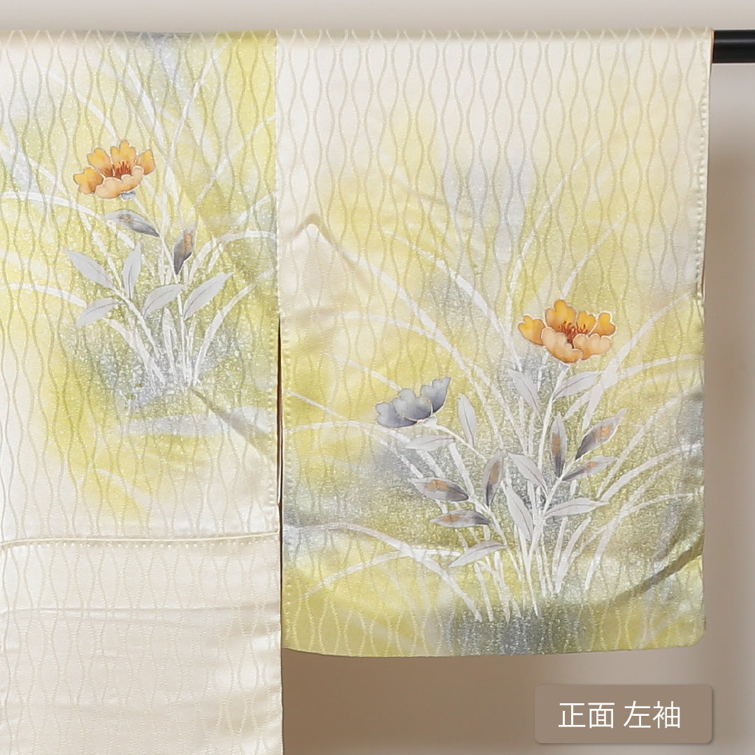 訪問着 袷 身丈160cm 裄65.5cm 正絹 クリーム系 Bランク 立湧 1212002964415