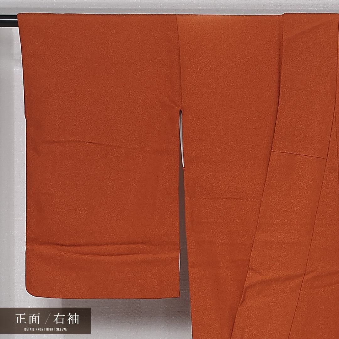 付下げ 袷 身丈153cm 裄丈63cm 正絹 Aランク インフォーマル 広衿 Sサイズ ぼかし染 金彩 千鳥 波 朱系 HP 1218-11974