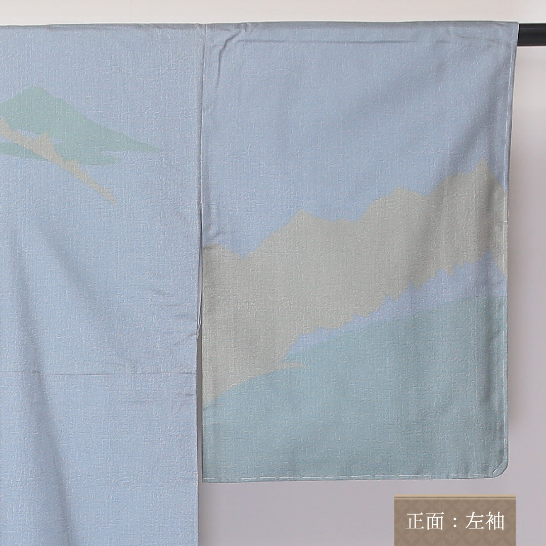 付下げ (大島紬) 袷 身丈169cm 裄丈67cm 正絹 Sランク インフォーマル 広衿 XLサイズ 経緯絣 しつけ糸 山 グレー系 M4 1218-04587