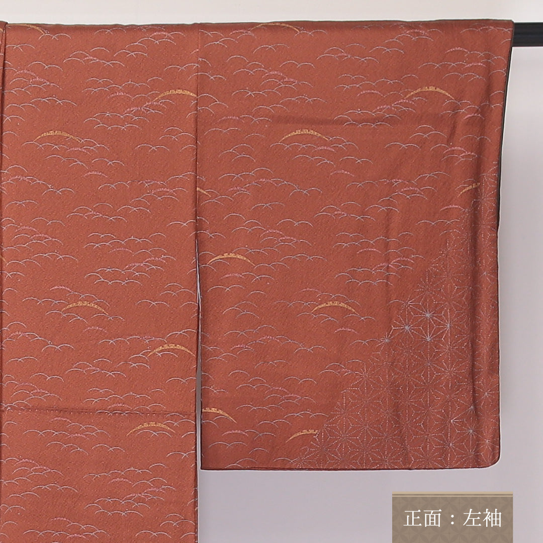 訪問着 袷 身丈155~159cm 裄62cm 正絹 芝草 麻の葉 菊 金彩 スコッチガード 朱系 ちりめん Sランク 1212-00632