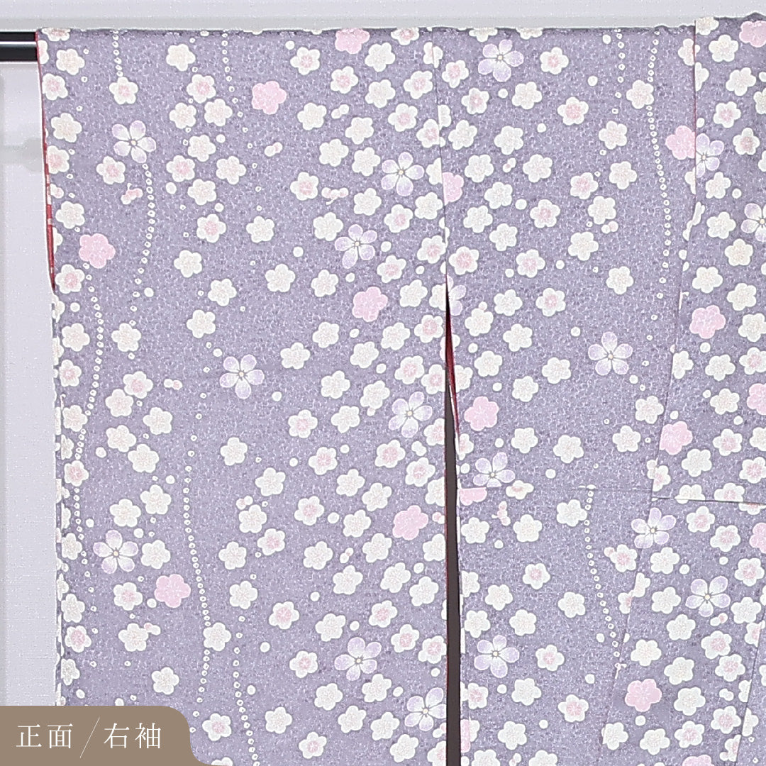 振袖 身丈155cm 裄丈63cm Sランク 袷 正絹 XS 広衿 エレガント 菊 桜 花柄 リバーシブル 紫系 1213-F0438