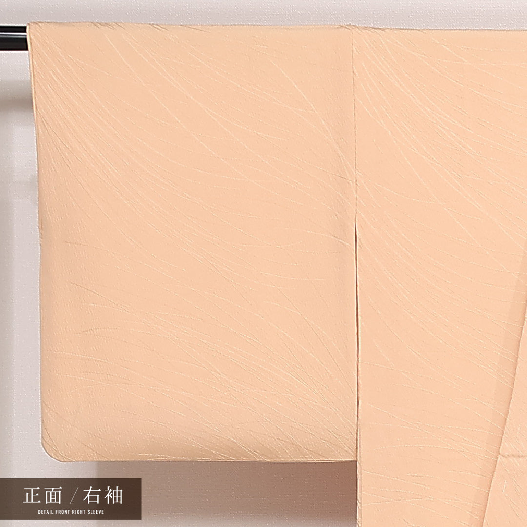 色無地 袷 身丈160cm 裄丈64cm 正絹 Sランク 一つ紋 (蔦) 紋意匠 (芝草) セミフォーマル 広衿 Lサイズ ベージュ系 RP 1219-13330