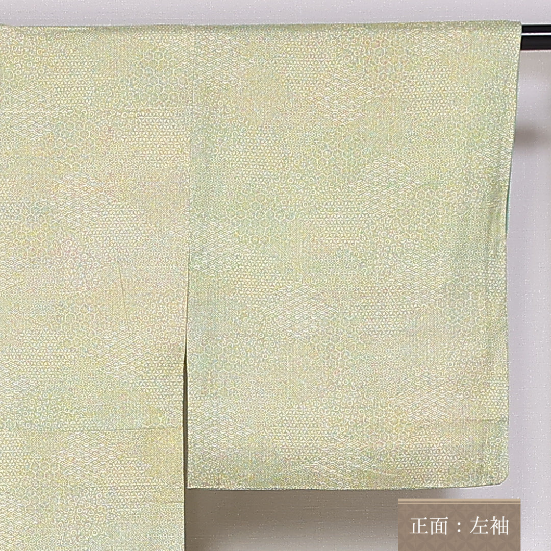 江戸小紋 身丈152cm 裄丈62cm Cランク 袷 正絹 広衿 寄せ柄 1262-10080