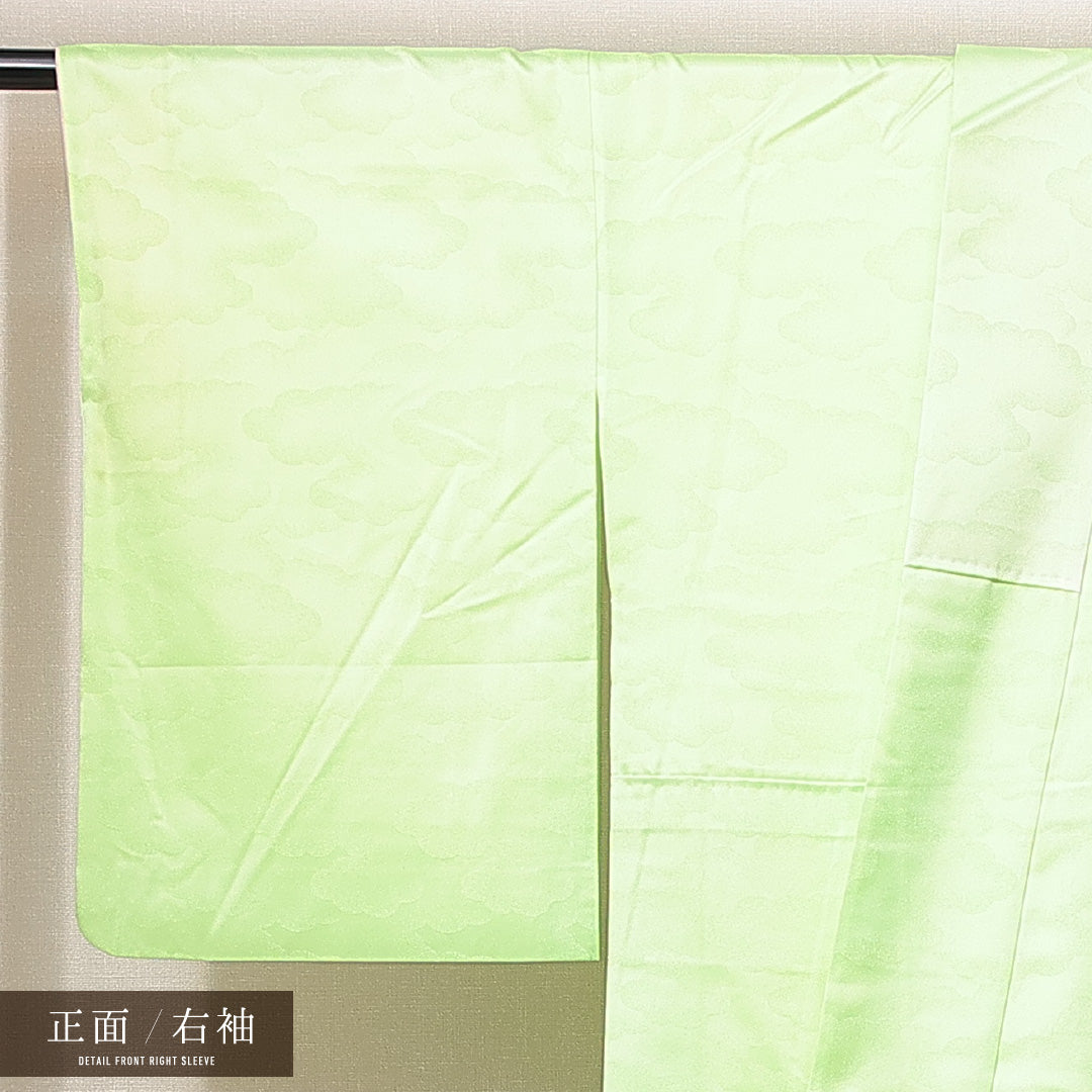 訪問着 洗える着物 袷 身丈158cm 裄丈62cm ポリエステル Bランク Mサイズ 広衿 セミフォーマル 吉祥文様 緑系 1212-14923