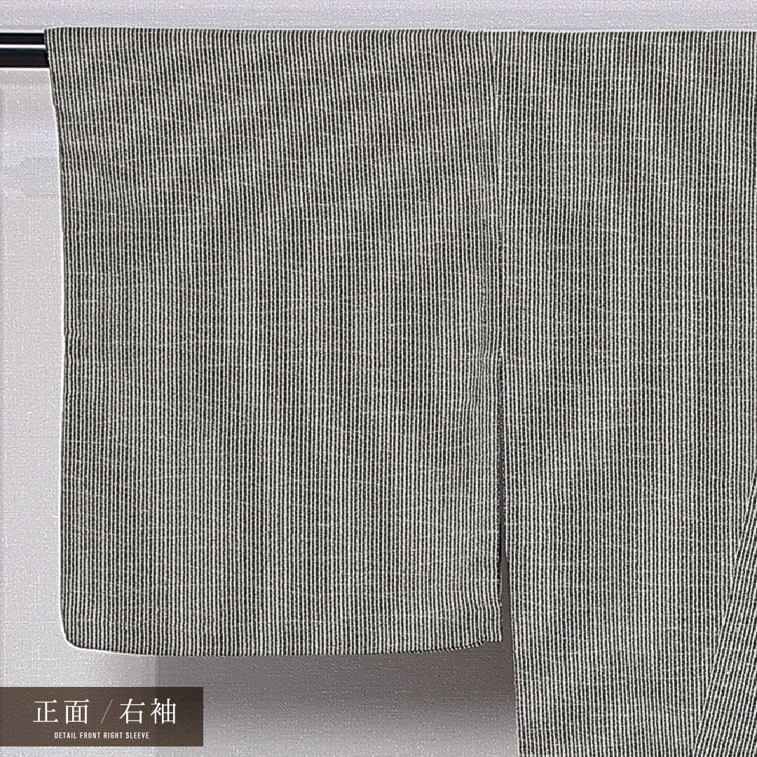 小紋 身丈153cm 裄丈60.5cm S 正絹 Bランク 単衣 広衿 芝草 1215-11029