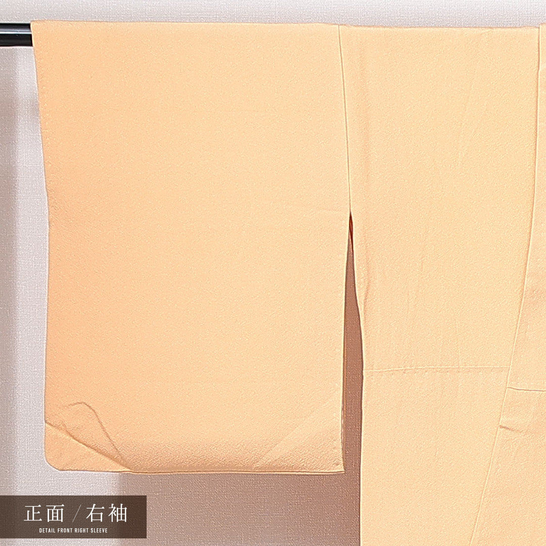 色無地 袷 身丈157cm 裄丈61cm 正絹 Bランク 一つ紋 (剣片喰) セミフォーマル 広衿 Mサイズ 無地 ベージュ系 RP 1219-14955