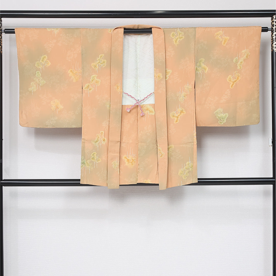 羽織 袷 身丈79cm 裄丈64cm 正絹 Aランク カジュアル Mサイズ ぼかし染 紐あり 植物柄 樹木 クリーム系 HP 1232-12098
