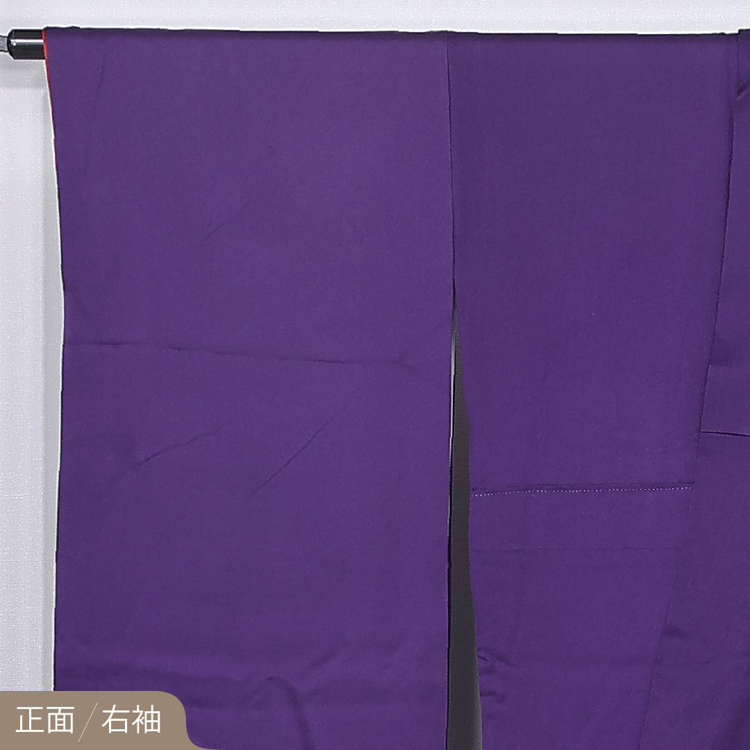 振袖 身丈167cm 裄丈67cm Sランク 正絹 袷 広衿 XL 菊 フォーマル シック 気品 紫系 1213-F0482