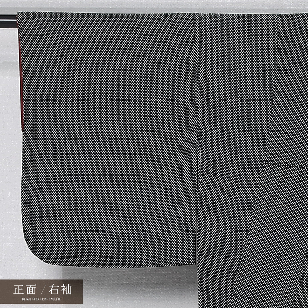 江戸小紋 身丈154cm 裄丈62.5cm Bランク S 正絹 袷 広衿 角通し セミフォーマル 黒系 1262-11880