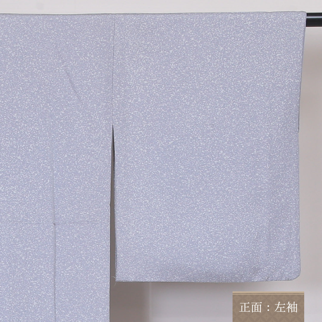 色留袖 袷 身丈169cm 裄丈67cm 正絹 Sランク セミフォーマル 広衿 XLサイズ 加賀友禅 ぼかし染 風景柄 グレー系 RP 1214-04514