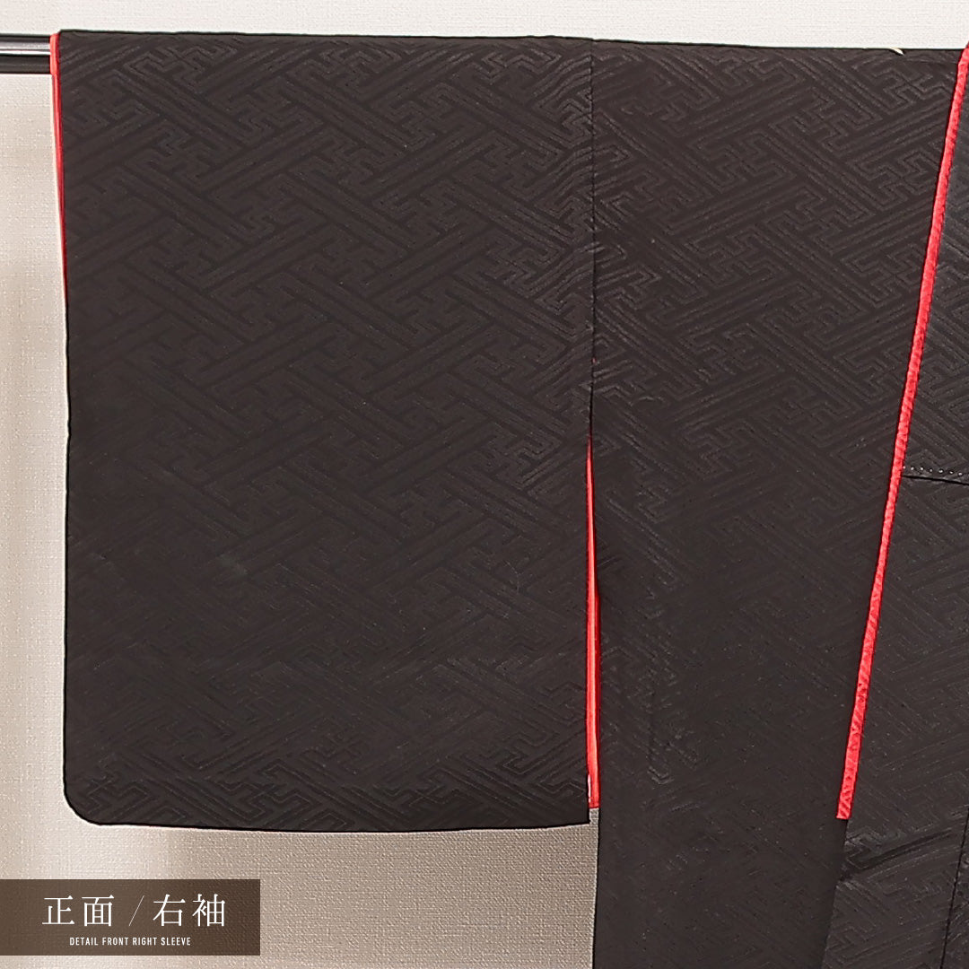付下げ 1218-16984 右袖
