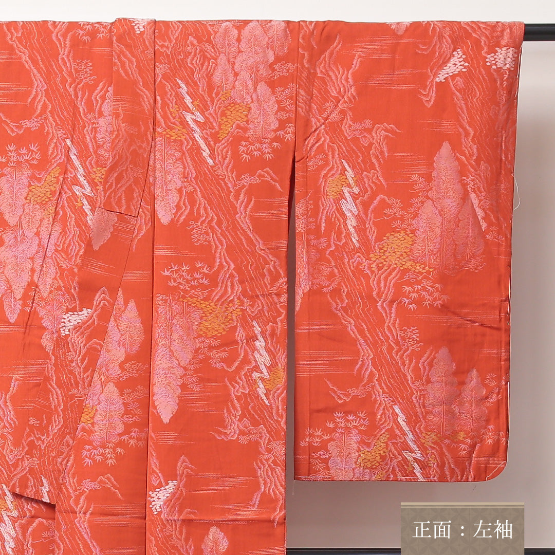 アンティーク お召 袷 身丈146cm 裄丈62cm 正絹 Bランク バチ衿 XSサイズ 植物柄 朱系 RP 1222-03524