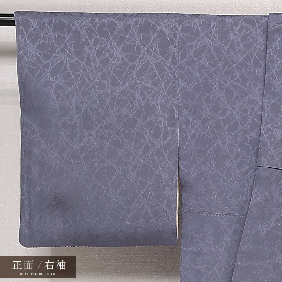 アンティーク 訪問着 袷 身丈150cm 裄丈63cm 正絹 Aランク 一つ紋(丸に違い鷹の羽) 広衿 Sサイズ 創作柄 シック 落ち着き 紫系 M4 1217-13335
