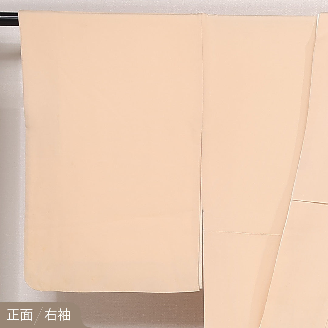 色留袖 三つ紋 丸に枝竜胆 身丈159cm 裄丈67cm Bランク 正絹 袷 比翼 広衿 M 刺繍 鶴 セミフォーマル 独創的 存在感 クリーム系 ピンク系 1211-F0573
