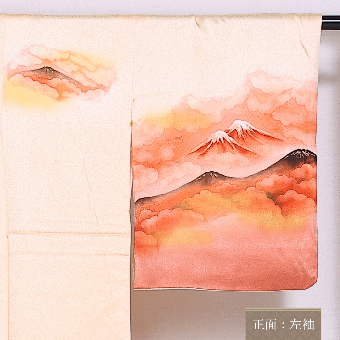 訪問着 袷 身丈163.5cm 裄62.5cm 正絹 風景 山 雲取 Bランク 1212-00839