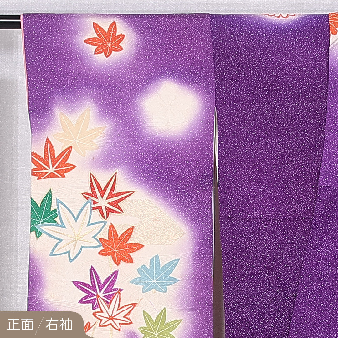 振袖 身丈157cm 裄丈65cm 袷 正絹 Cランク 広衿 菊 梅 紅葉 金駒刺繍 扇 1213-F0391