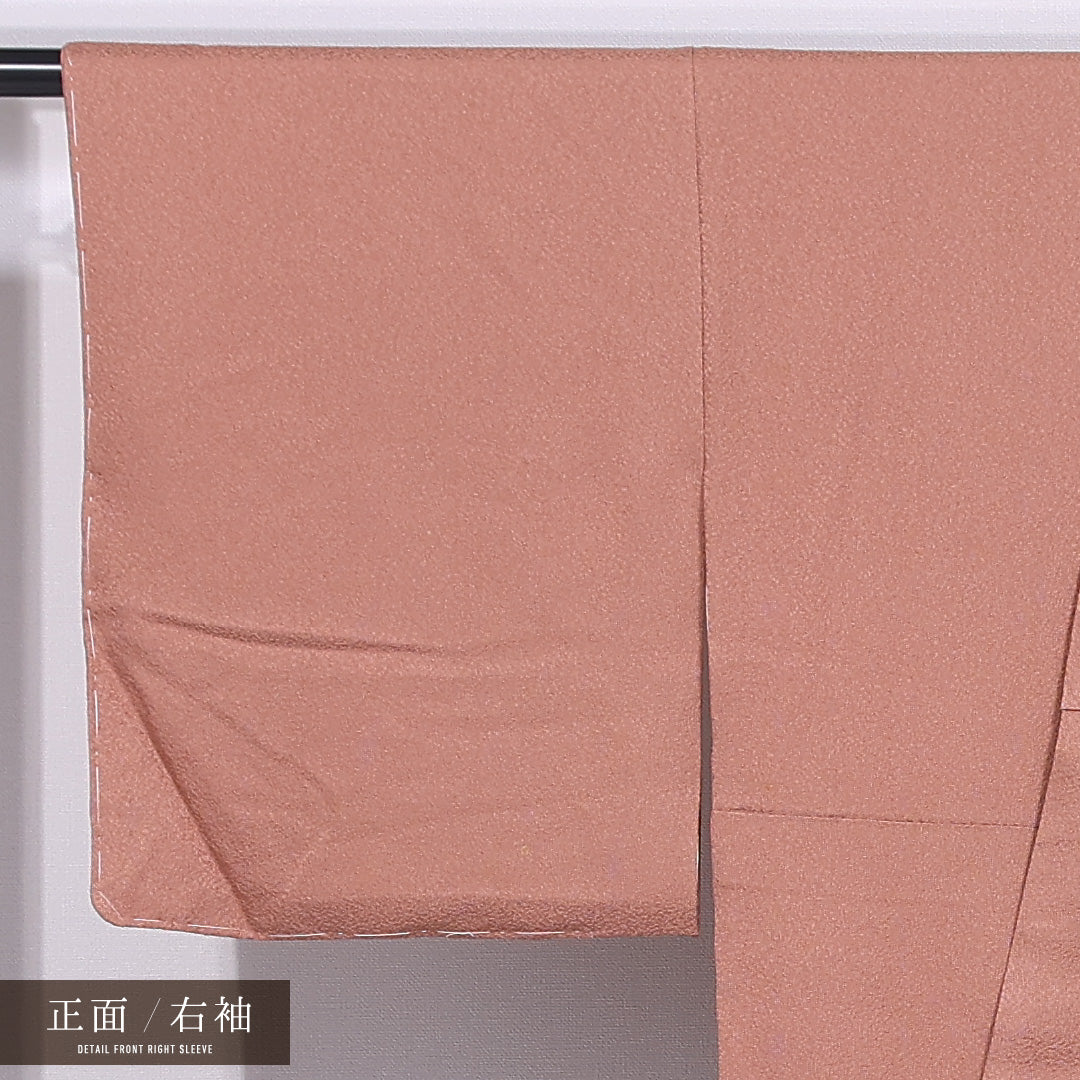 江戸小紋 (鮫) 袷 身丈153cm 裄丈63cm 正絹 Cランク 一つ紋 (蔦) セミフォーマル 広衿 Sサイズ 朱系 LP 1220-11871