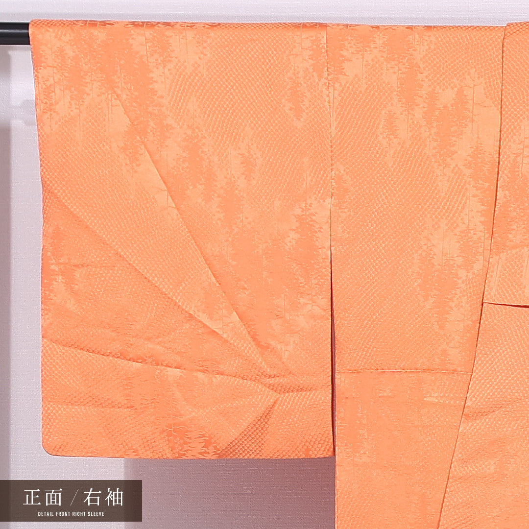 色無地 袷 身丈154cm 裄丈62cm 正絹 Bランク 紋意匠 (遠山) インフォーマル 広衿 Sサイズ 朱系 HP 1219-11699