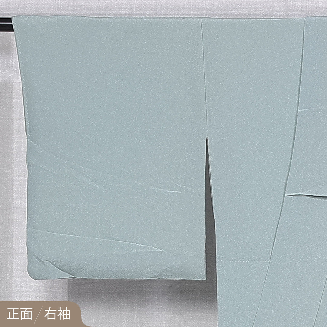 色留袖 身丈153cm 裄丈66.5cm 袷 一つ紋 三つ柏 正絹 Aランク 広衿 金箔 牡丹 桜 1211-F0415