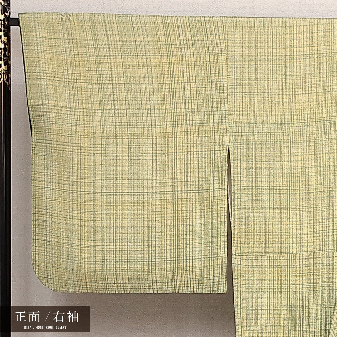 付下げ 袷 身丈163cm 裄丈67cm 正絹 Sランク インフォーマル 広衿 Lサイズ 桜 アイビー 緑系 RP 1218-14087