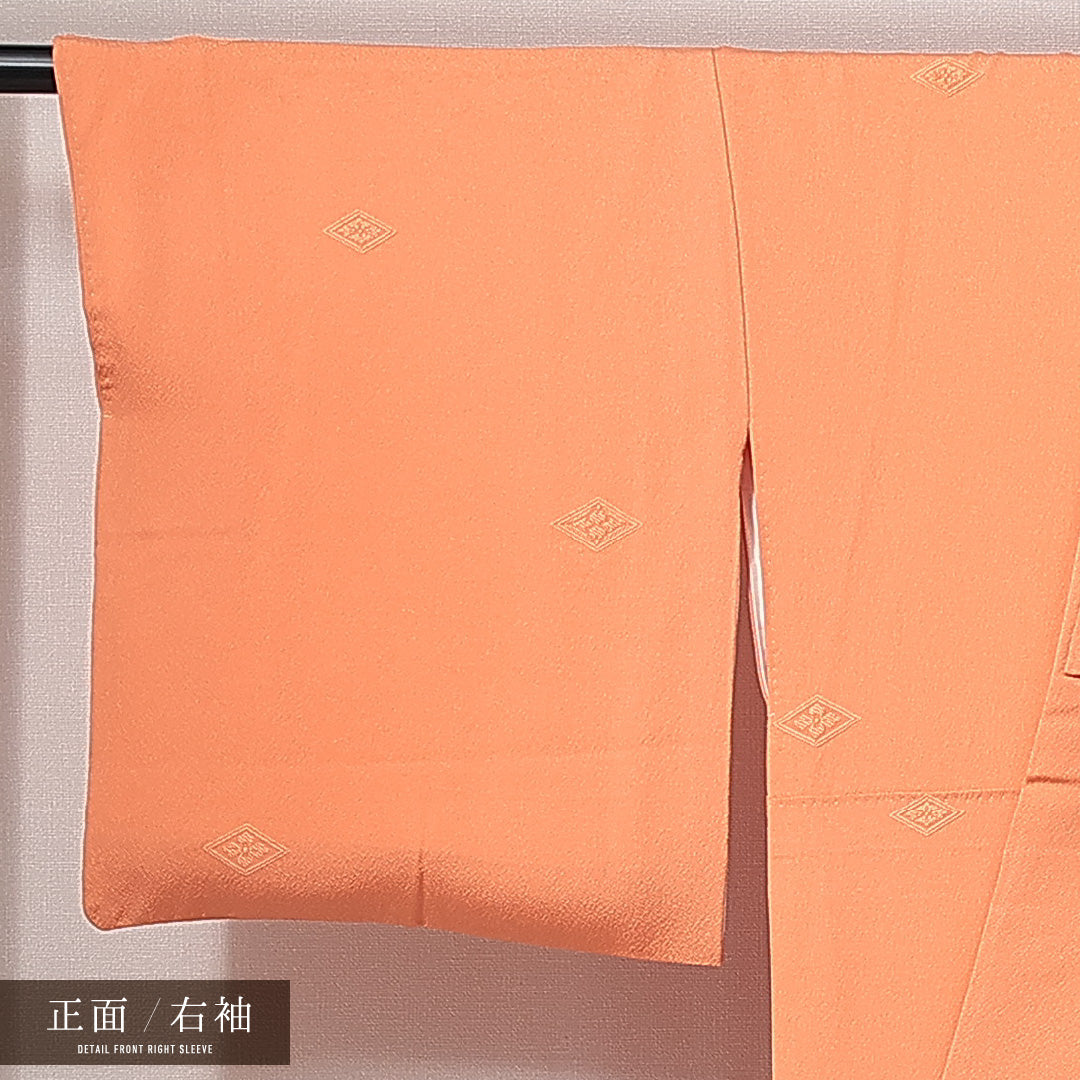 付下げ 袷 身丈157cm 裄丈64cm 正絹 Sランク Mサイズ 広衿 一つ紋(丸に違い鷹の羽) セミフォーマル 紋意匠 花菱 織り出し 青海波 朱系 1261-14946