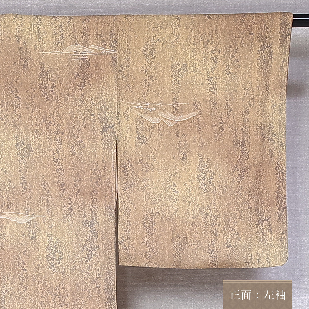 紬 袷 身丈160cm 裄丈64cm 正絹 Bランク カジュアル 広衿 Lサイズ 染め紬 創作柄 茶系 RP 1223-10901