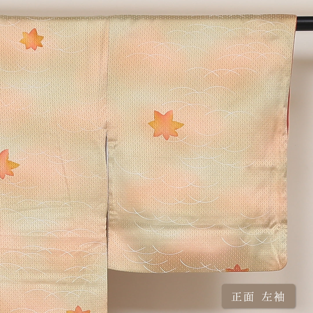 小紋 袷 身丈153cm 裄丈63cm 正絹 Aランク インフォーマル 広衿 Sサイズ ぼかし染 芝草 紅葉 朱系 HP 1221-01642