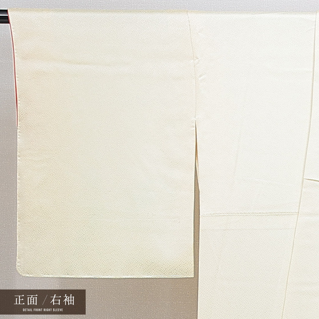 付下げ 袷 身丈166cm 裄丈62cm 正絹 Aランク XLサイズ 広衿 インフォーマル 紋意匠 紗綾型 牡丹 黄系 1261-14867